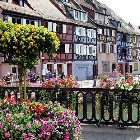 Colmar,Appart Chaleureux 2 Pas Centre Avec Jardin Екстериор снимка