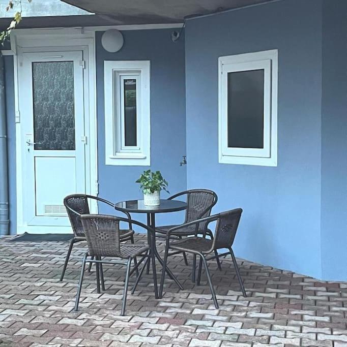 Colmar,Appart Chaleureux 2 Pas Centre Avec Jardin Екстериор снимка