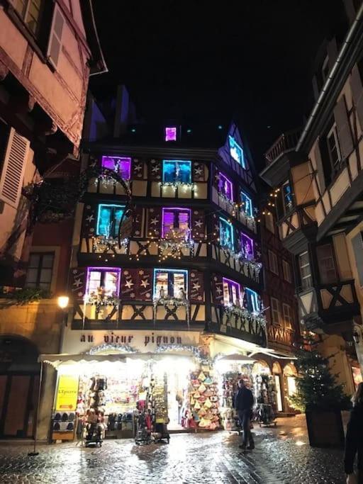 Colmar,Appart Chaleureux 2 Pas Centre Avec Jardin Екстериор снимка