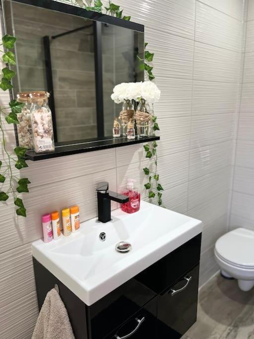 Colmar,Appart Chaleureux 2 Pas Centre Avec Jardin Екстериор снимка
